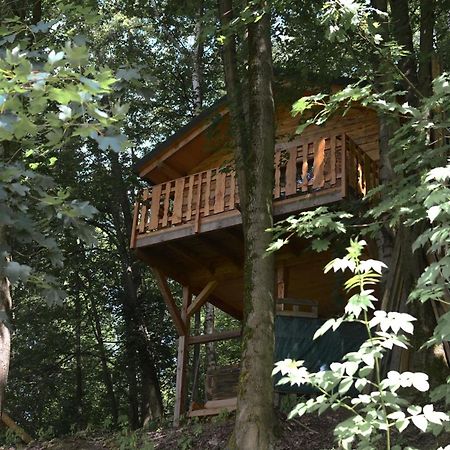 Treehouse Velké Losiny Exterior foto