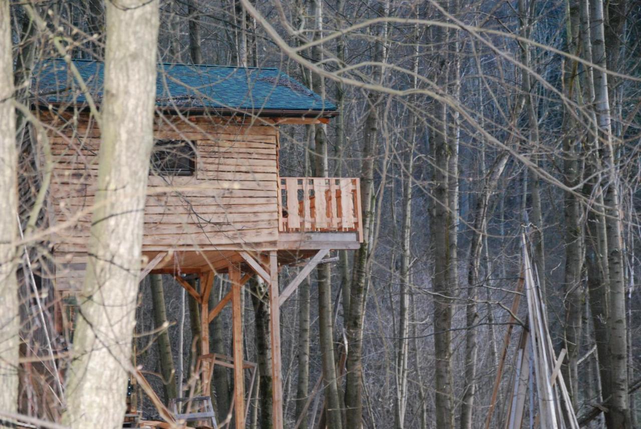 Treehouse Velké Losiny Exterior foto