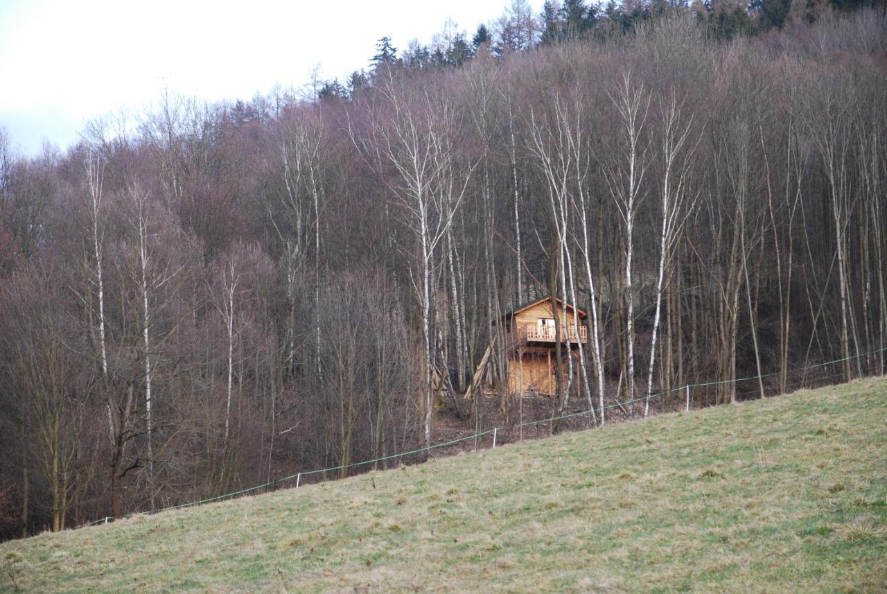 Treehouse Velké Losiny Exterior foto