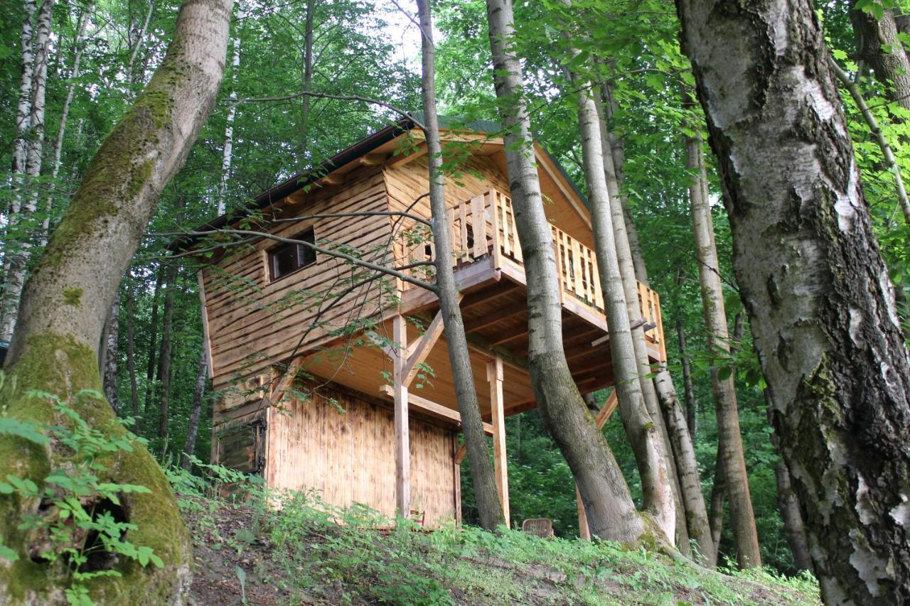 Treehouse Velké Losiny Exterior foto