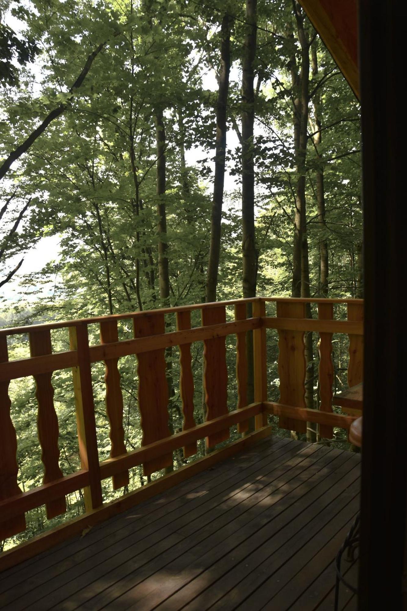 Treehouse Velké Losiny Exterior foto