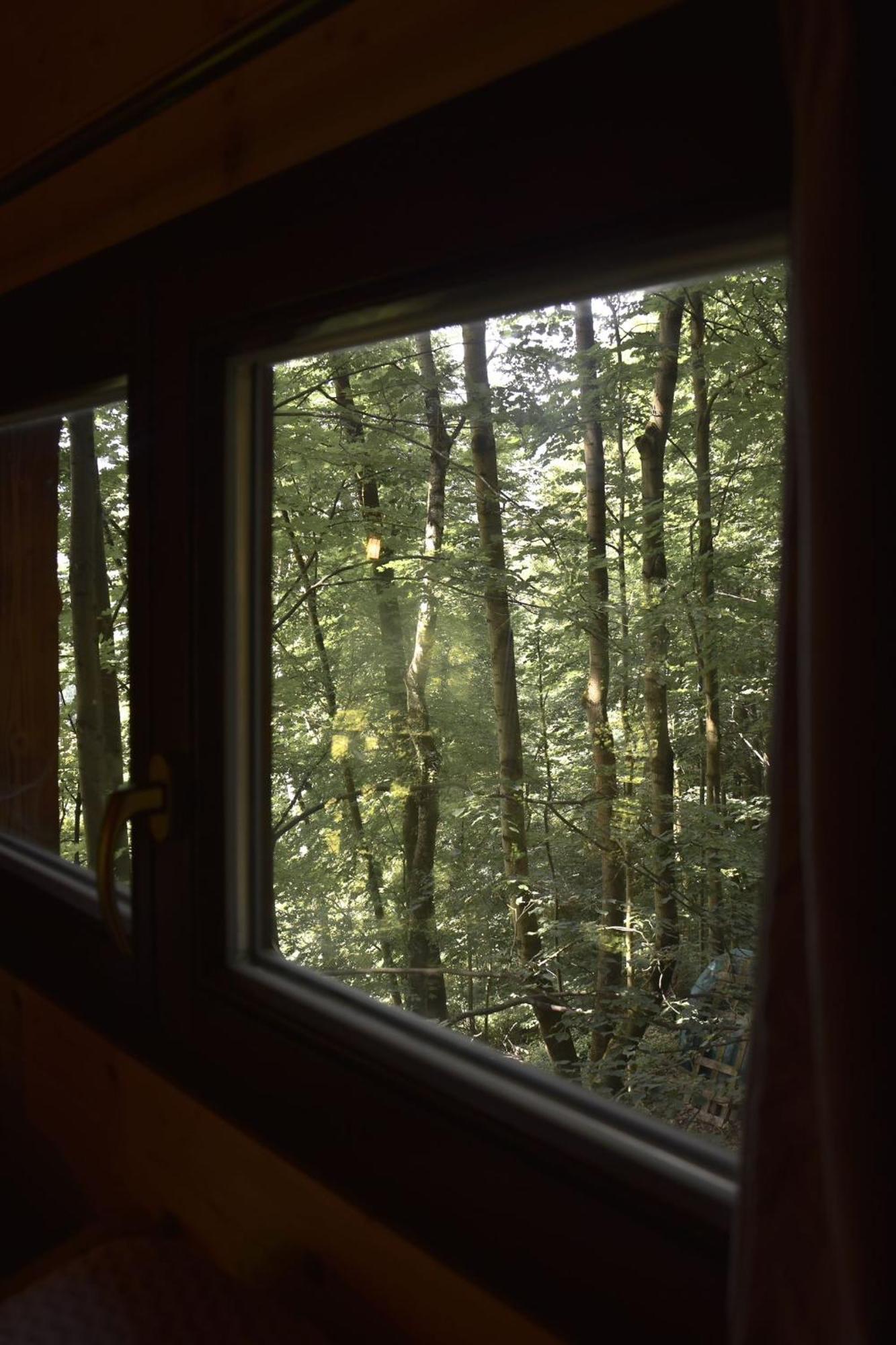 Treehouse Velké Losiny Exterior foto